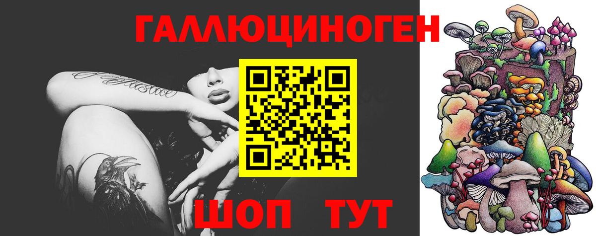 Галлюциногенные грибы GOLDEN TEACHER  Псилоцибиновые грибы прущие грибы  Вход с VPN  Корсаков 