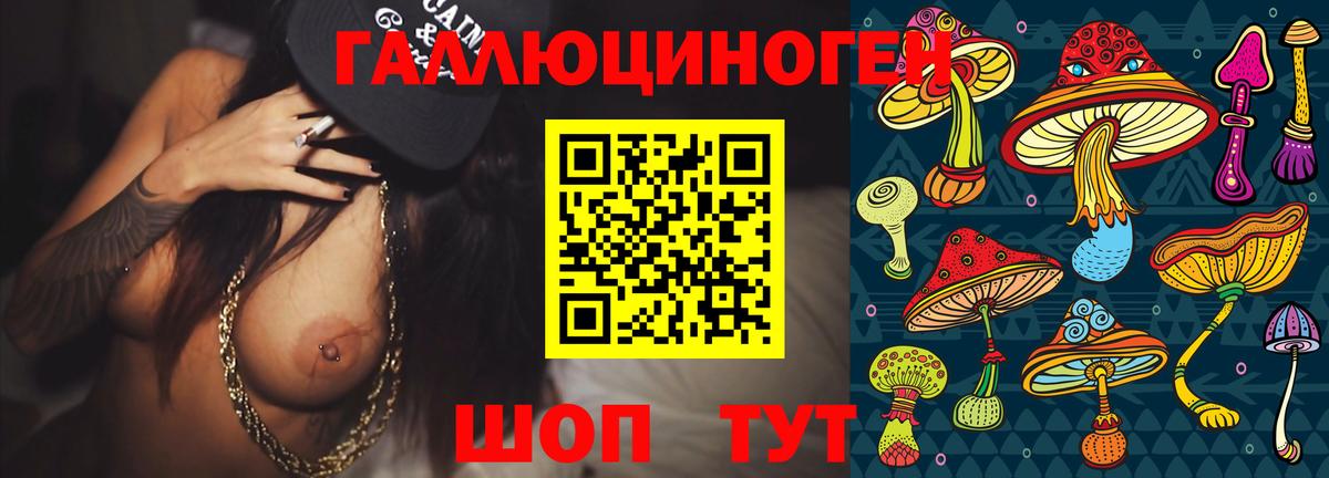 Псилоцибиновые грибы MAGIC MUSHROOMS Корсаков